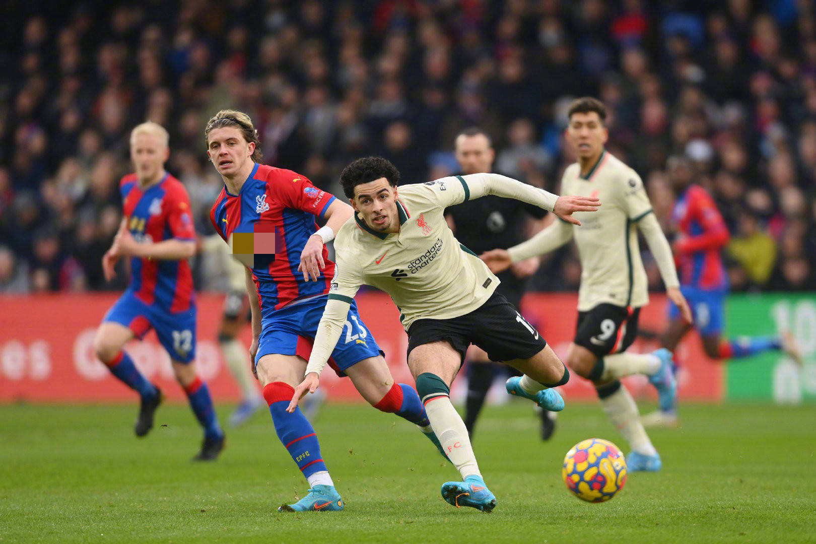 场强强对话 场强强对话